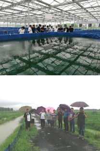 科技引领渔业兴 — 中国水产科学院推动任城区绿色转型与产业升级纪实