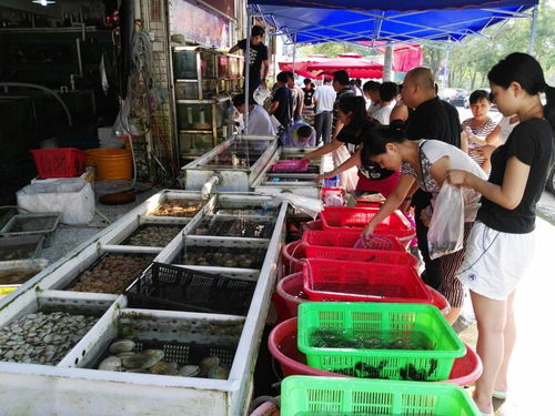 南海开渔后头两批海鲜热销水产市场 菁渔渔业迎来丰收季